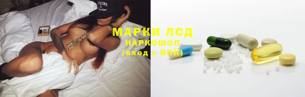 стафф Нефтекумск