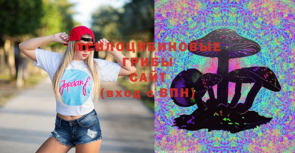стафф Нефтекумск